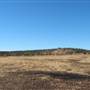 Rangelands Station