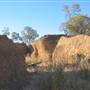 Rangelands Station