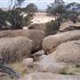 Rangelands Station