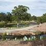 Gold Coast Regional Botanic Gardens - Rosser Park