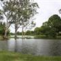 Gold Coast Regional Botanic Gardens - Rosser Park