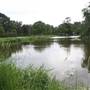 Gold Coast Regional Botanic Gardens - Rosser Park