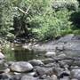 Silky Oaks Lodge - Mossman