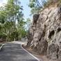 Springbrook National Park