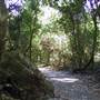 Springbrook National Park