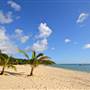 Tangalooma Island Resort
