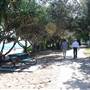 Tallebudgera Creek
