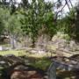 Toowong Cemetery