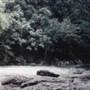 Tully River