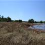 Tully River