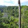 Tully River