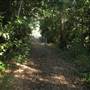 Whitsunday Great Walk