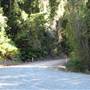 Whitsunday Great Walk
