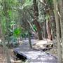 Kholo Botanic Gardens