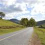 Winding Scenic Mountain Road - National Park