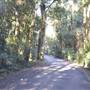 Winding Scenic Mountain Road - National Park
