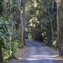 Winding Scenic Mountain Road - National Park