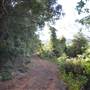 O'Reillys Rainforest Retreat