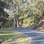 Winding Scenic Mountain Road - National Park