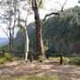 Moran Falls