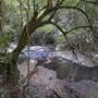 Moran Falls