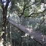 O'Reillys Rainforest Retreat