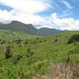 Lost World Valley