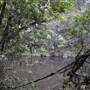 Upper Maroochy River