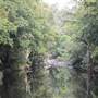 Upper Maroochy River