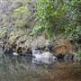 Rocky Creek Falls