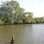 Maroochy River / Old Rail Bridge