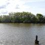 Maroochy River / Old Rail Bridge