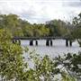 Maroochy River / Old Rail Bridge