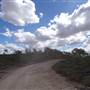Leichhardt River Rd - Off-Road