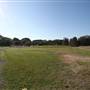 Major League Baseball Infields & Batting Cages