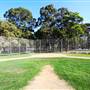 Surfers Paradise Baseball Club