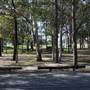Surfers Paradise Baseball Club