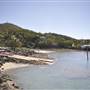 Shute Harbour