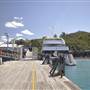 Shute Harbour