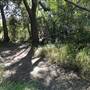 Mangroves meet Ocean - Tallebudgera Creek Conservation Park