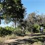 Tarrabora Reserve