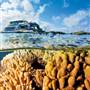 Great Barrier Reef