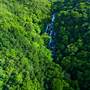 Mossman Gorge