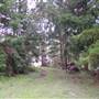 The Backlot, Bonogin - Overview
