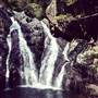 Spring Creek - near Port Douglas