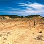 Winton Desert - General