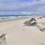 South Stradbroke Island - Beach (South of Surf Club)