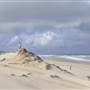 South Stradbroke Island - Beach (South of Surf Club)