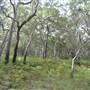 South Stradbroke Island - Beach (South of Surf Club)