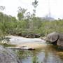 Murray Falls (Girramay National Park)